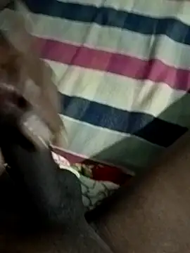 Like african online show from 04.19.26