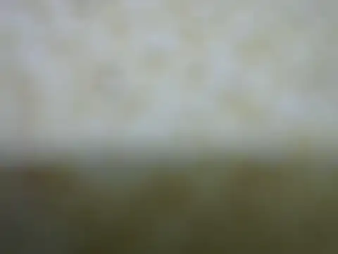 castistee online show from 10.26.25