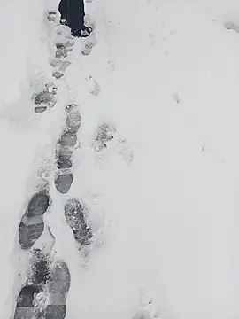 Saysomething3 online show from 01.11.26