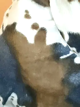 Snapshot of Diya_143 chatting on 01.07.26 Diya 143 online show from 01.07.26