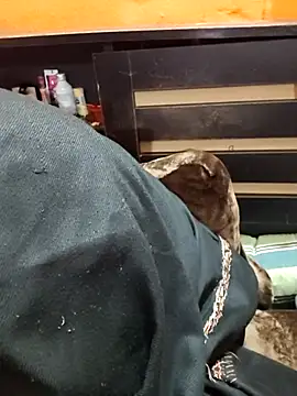 Snapshot of Diya_143 chatting on 01.12.26 Diya 143 online show from 01.12.26