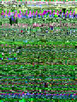 Wolfeman74 online show from 07.11.26