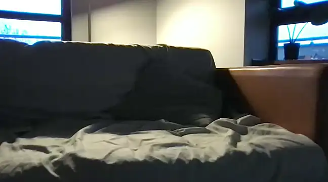 Perwers 41 online show from 12.08.24