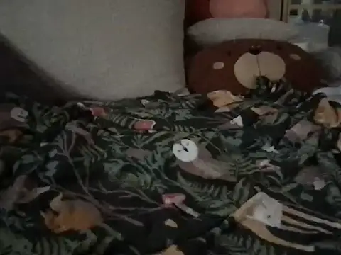 Perwers 41 online show from 11.02.25