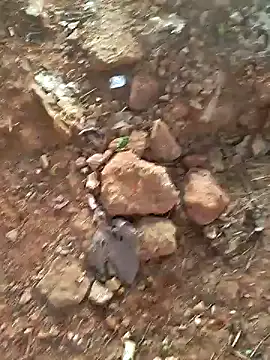 Snapshot of Gopal1243 chatting on 12.15.24 Gopal1243 online show from 12.15.24