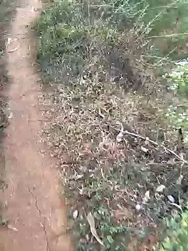 Snapshot of Gopal1243 chatting on 01.15.25 Gopal1243 online show from 01.15.25