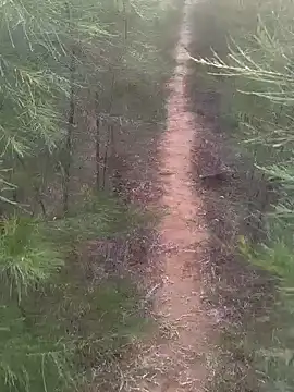 Snapshot of Gopal1243 chatting on 02.17.25 Gopal1243 online show from 02.17.25