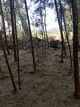 Snapshot of Gopal1243 chatting on 02.26.25 Gopal1243 online show from 02.26.25