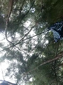 Snapshot of Gopal1243 chatting on 09.28.25 Gopal1243 online show from 09.28.25