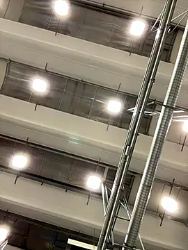 danicohoney online show from 10.06.25