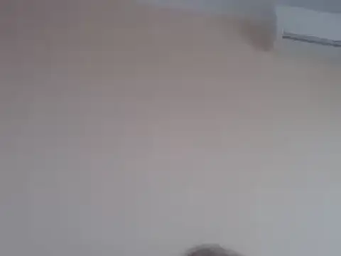 aavocadok online show from 12.12.24