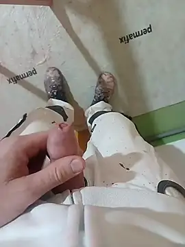 Snapshot of GeilerSchweizer chatting on 01.22.25 GeilerSchweizer online show from 01.22.25