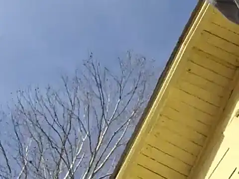 highstepper500 online show from 12.26.24