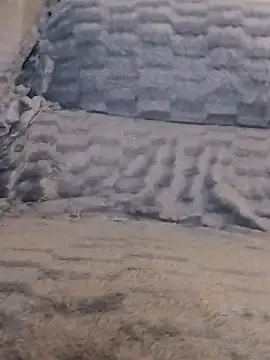 LoGaNfree88 online show from 04.13.26