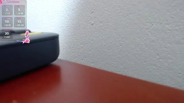 Snapshot of scaelettdubois chatting on 12.14.25 scaelettdubois online show from 12.14.25