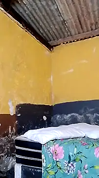 LULE37587001 online show from 03.06.26