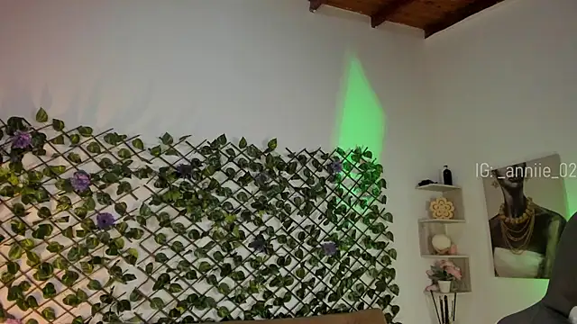 annie barozzi online show from 01.13.25