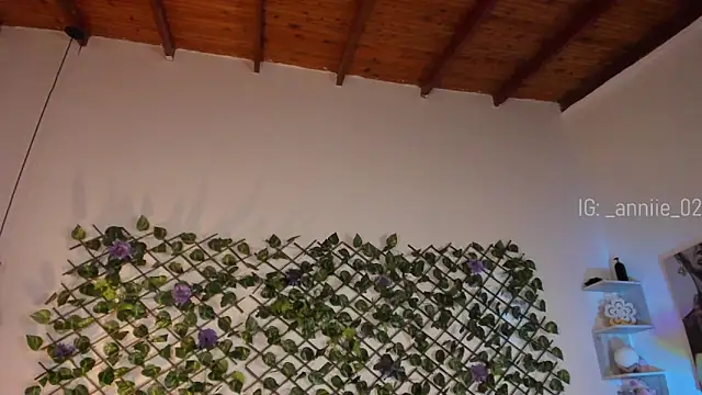 annie barozzi online show from 01.13.25