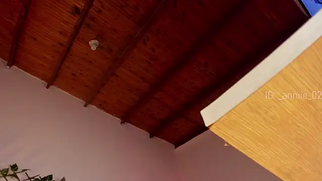 annie barozzi online show from 01.16.25