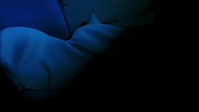 Snapshot of blow2gold chatting on 11.12.25 blow2gold online show from 11.12.25