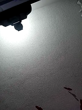 Snapshot of Deina_bunny chatting on 02.17.25 Deina bunny online show from 02.17.25