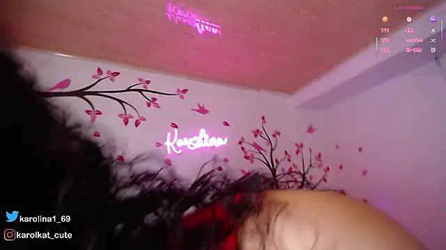 Snapshot of Karolina_1 chatting on 11.14.25 Karolina 1 online show from 11.14.25