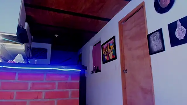 Snapshot of ink_demonxxx chatting on 11.17.25 ink demonxxx online show from 11.17.25