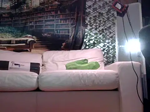 Snapshot of OSIRlS chatting on 02.19.25 OSIRlS online show from 02.19.25