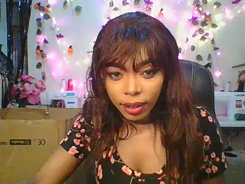 Anaconda2350 online show from 11.24.25