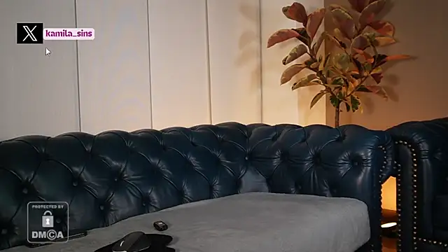 Snapshot of kamila_sins chatting on 03.06.25 kamila sins online show from 03.06.25