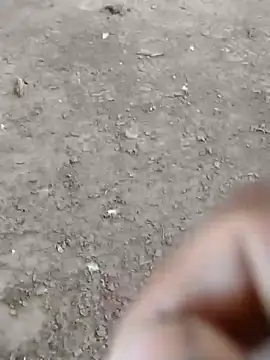 Snapshot of dheck2020 chatting on 01.07.25 dheck2020 online show from 01.07.25