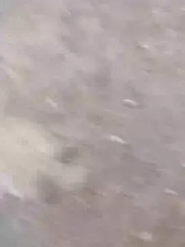 Snapshot of dheck2020 chatting on 01.07.25 dheck2020 online show from 01.07.25