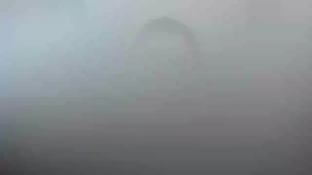 smile sweetpao online show from 02.23.25