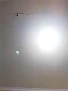 DangerousSafari online show from 11.03.25