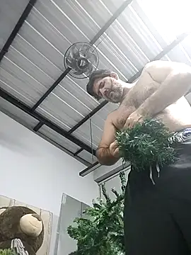 Maxi TheBigDaddy online show from 01.11.26