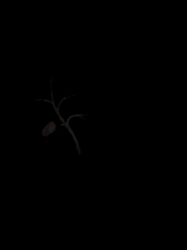 sxxxxxxlll online show from 11.15.25