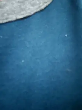 Bangalorebull online show from 10.17.25