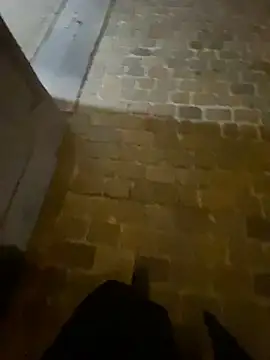 Snapshot of Thepanthera chatting on 09.22.25 Thepanthera online show from 09.22.25