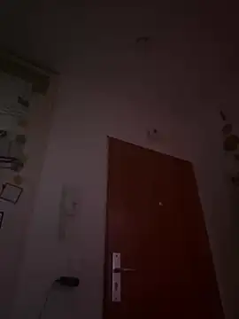 Toyjungee online show from 12.23.24