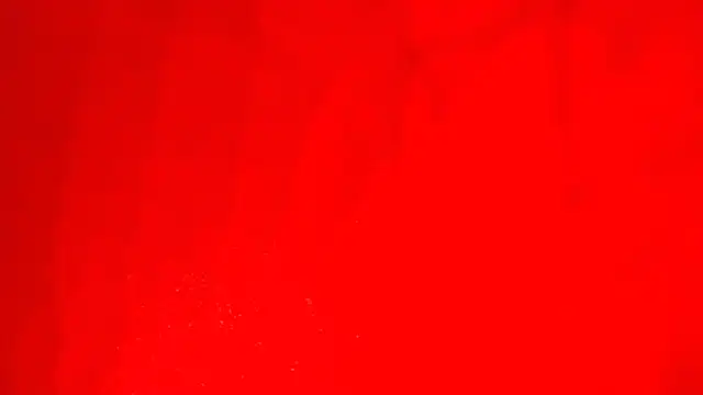 KarimaSarabe online show from 11.28.25