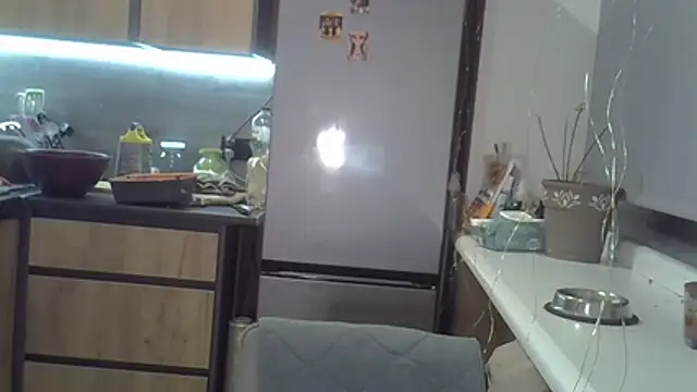 delightful sofi online show from 11.14.25