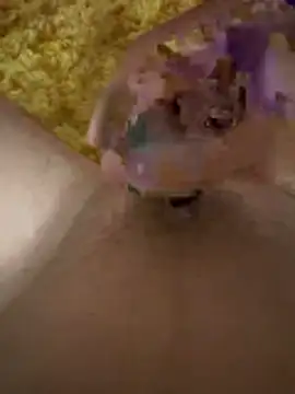 papi88 online show from 03.06.26