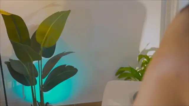 Snapshot of anabelcurvy chatting on 02.06.25 anabelcurvy online show from 02.06.25