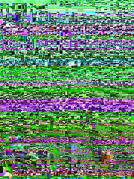 versetopcouple online show from 10.29.25