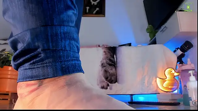 miaa-lee online show from 10.23.25