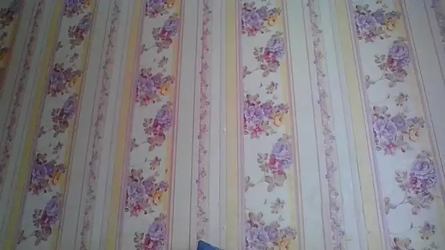 Skills  online show from 12.05.24