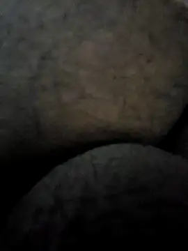 Snapshot of Mallupaiyanaachu chatting on 02.03.25 Mallupaiyanaachu online show from 02.03.25