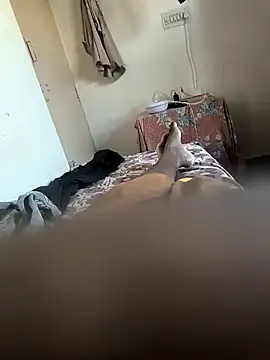 Snapshot of Mallupaiyanaachu chatting on 02.05.25 Mallupaiyanaachu online show from 02.05.25