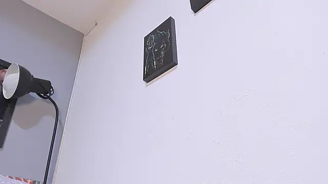 damn fox online show from 12.11.24