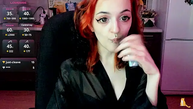 spticc online show from 12.11.24